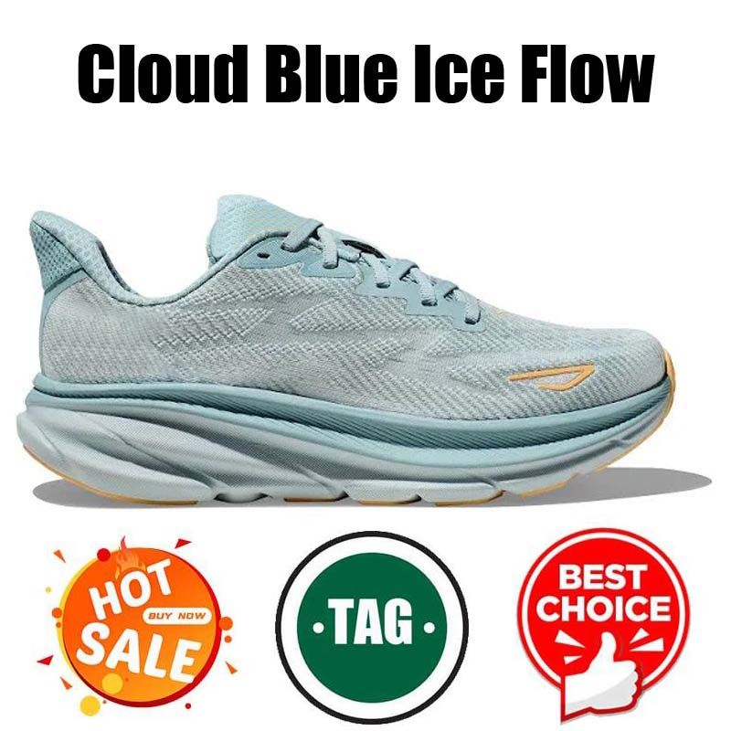 #9 Cloud Blue Ice Flow 36-47