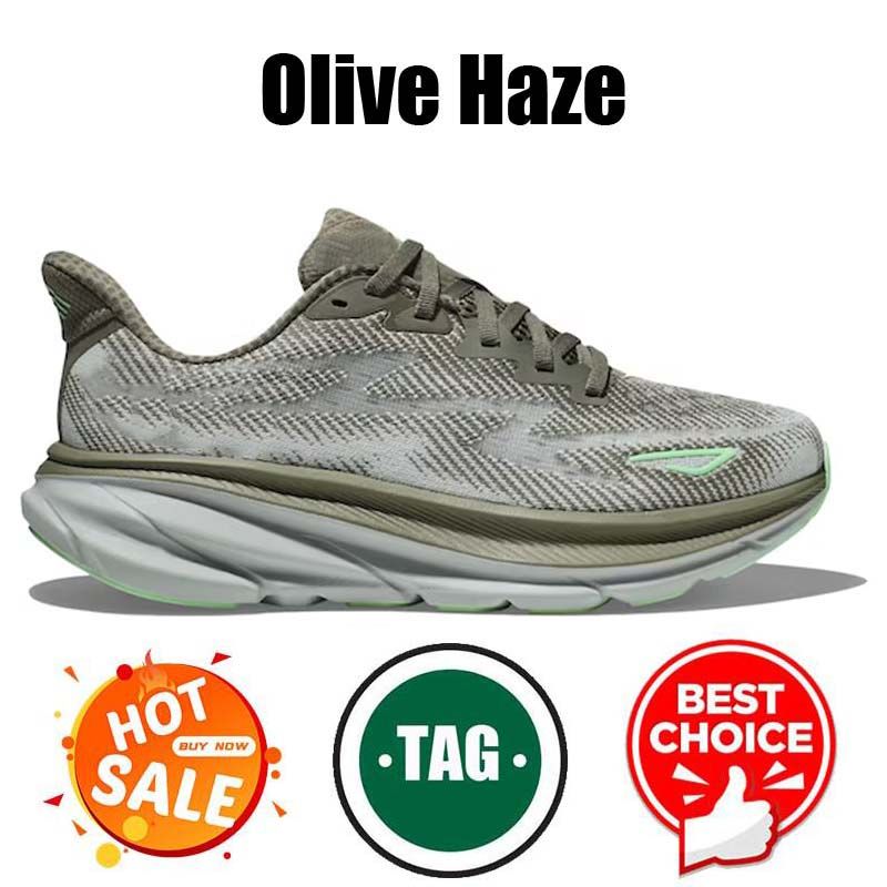 #19 Olive Haze 36-47
