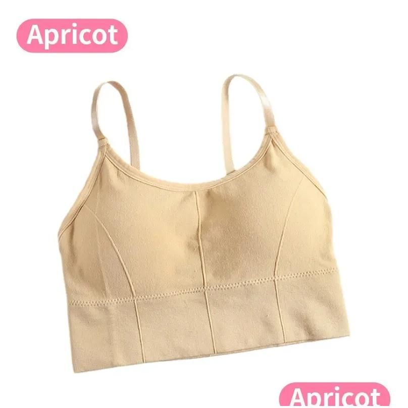 Apricot