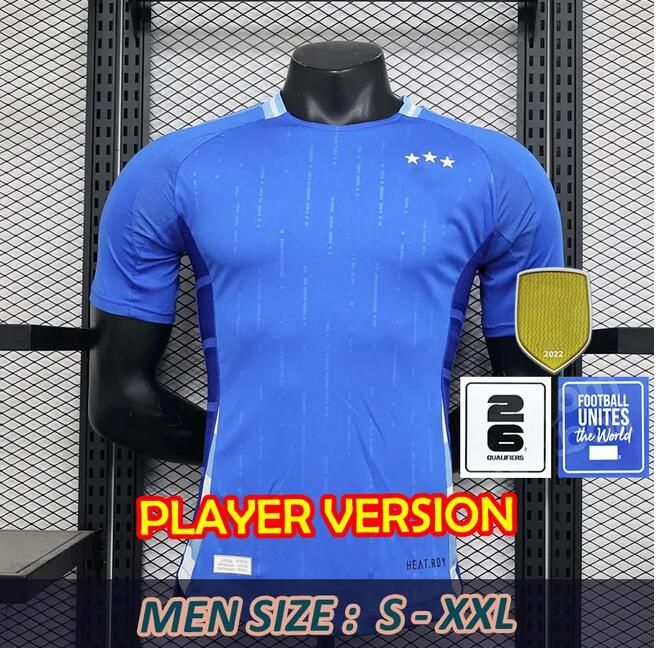 Player version