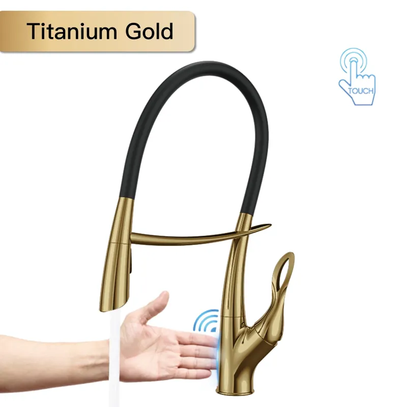 Titanium Gold5