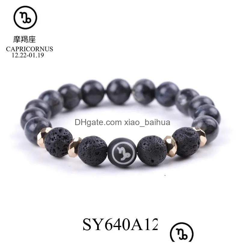 Sy640A12 Capricorno