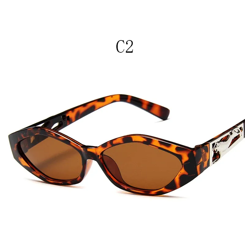 C2LeopardBrown