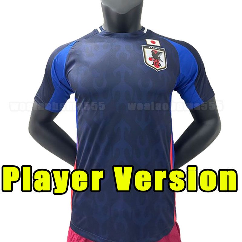 Home player version