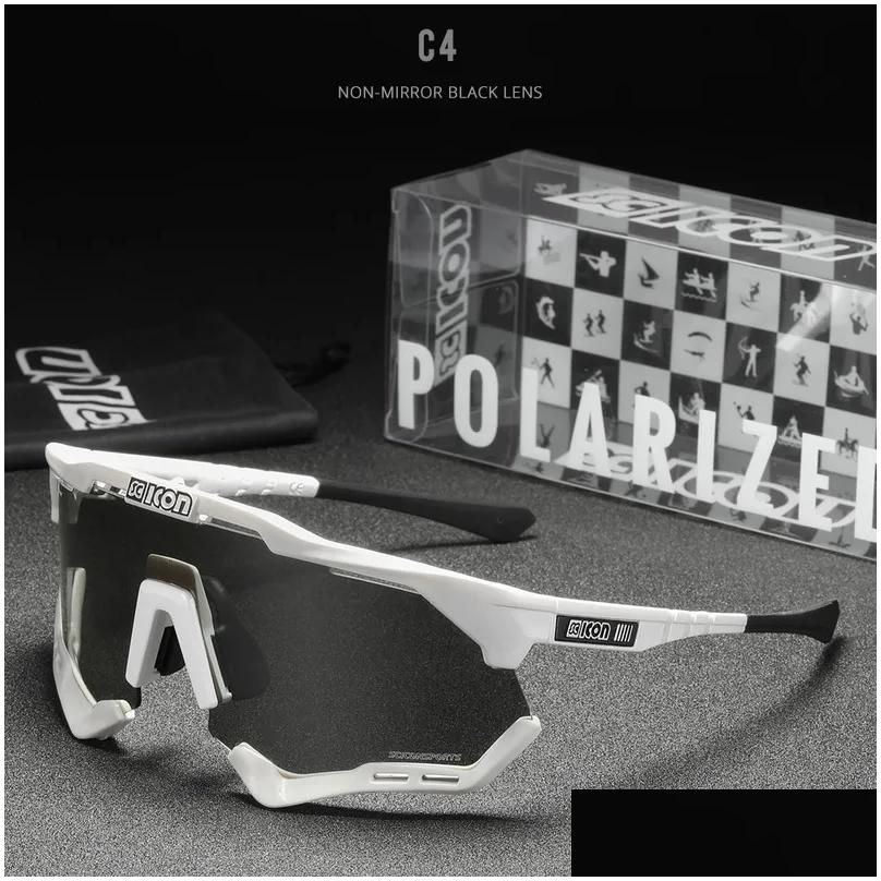 2021-C4-Polarized With Case