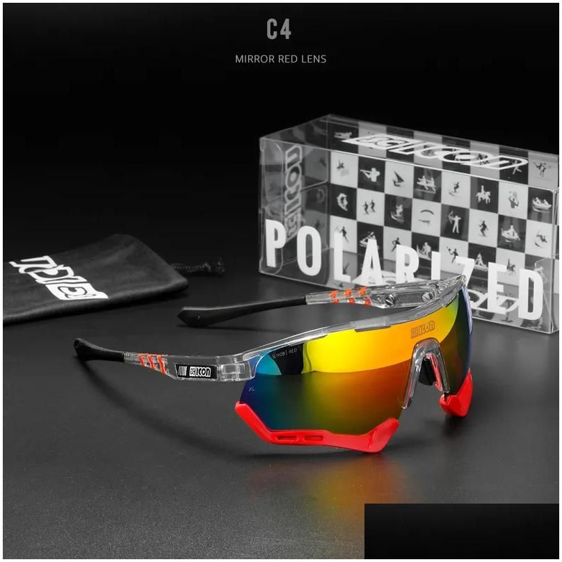 C4-Polarized With Case