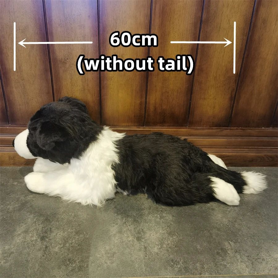 60cm