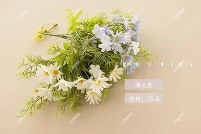Färg: Blommor
