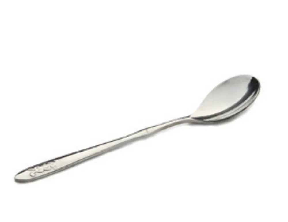 Steel Spoon