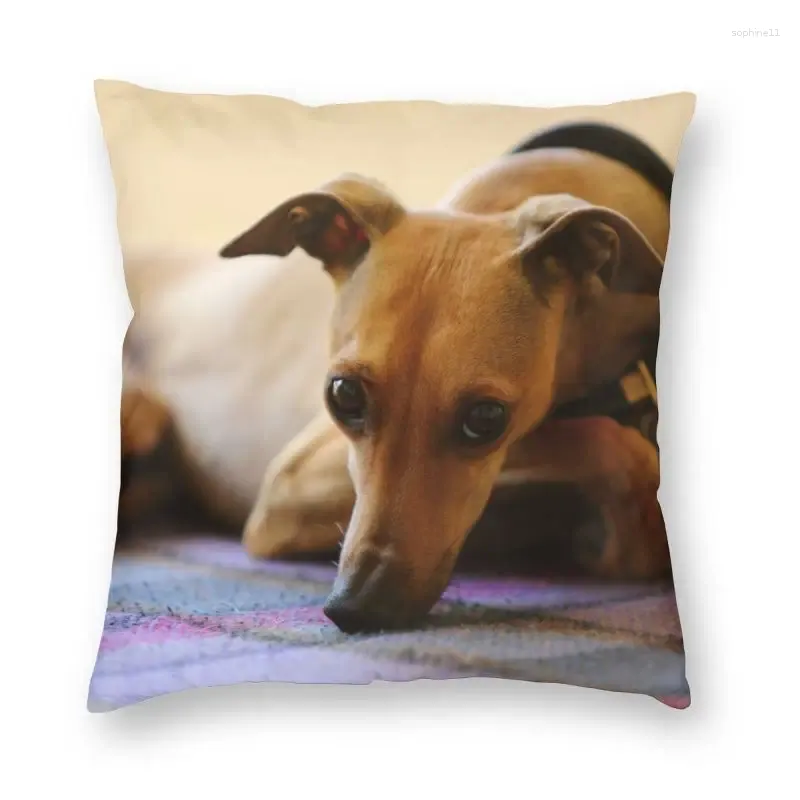 Cushion Cover