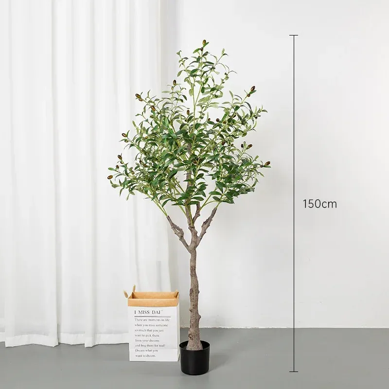 150cm olive tree