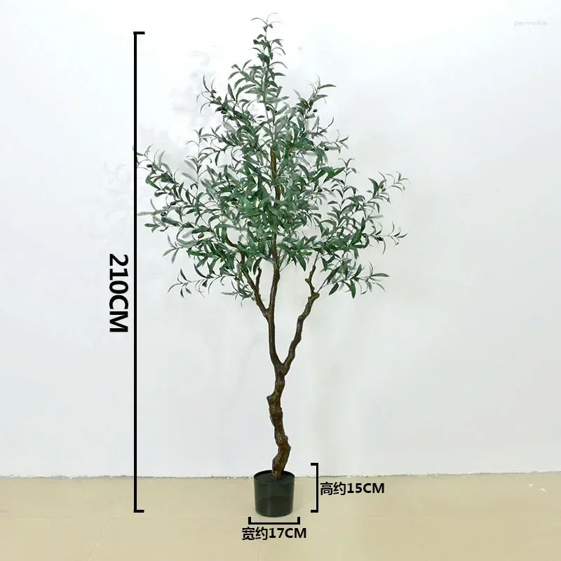 210cm olive tree