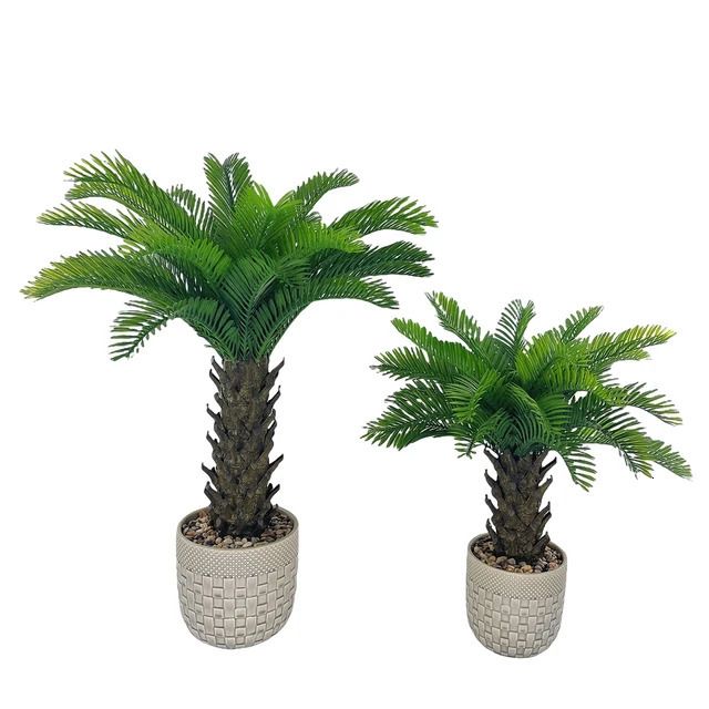 Palm in Ceramic Pots-50cm