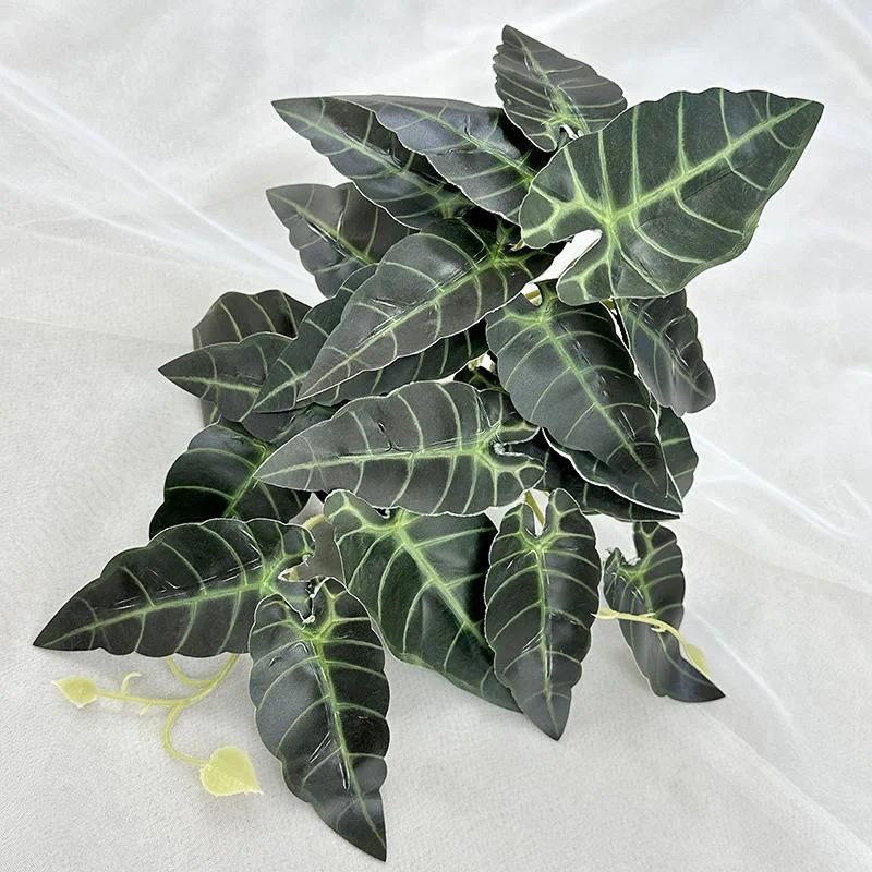 Sea Taro Leaf Green