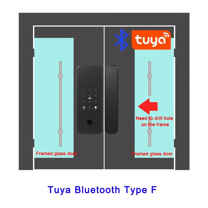 Color:Tuya Type F