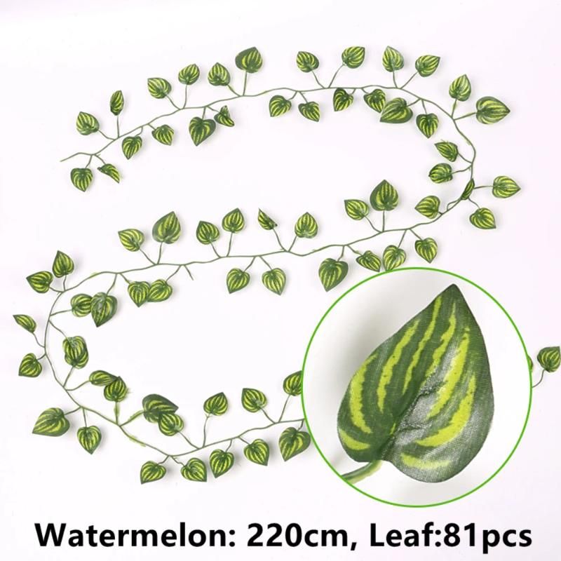 2.2m Watermelon