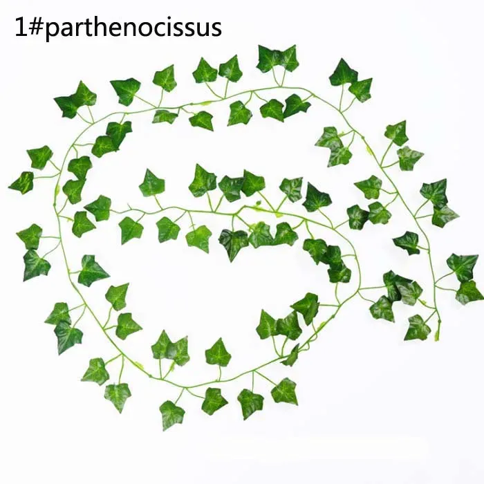 1 parthenocissus