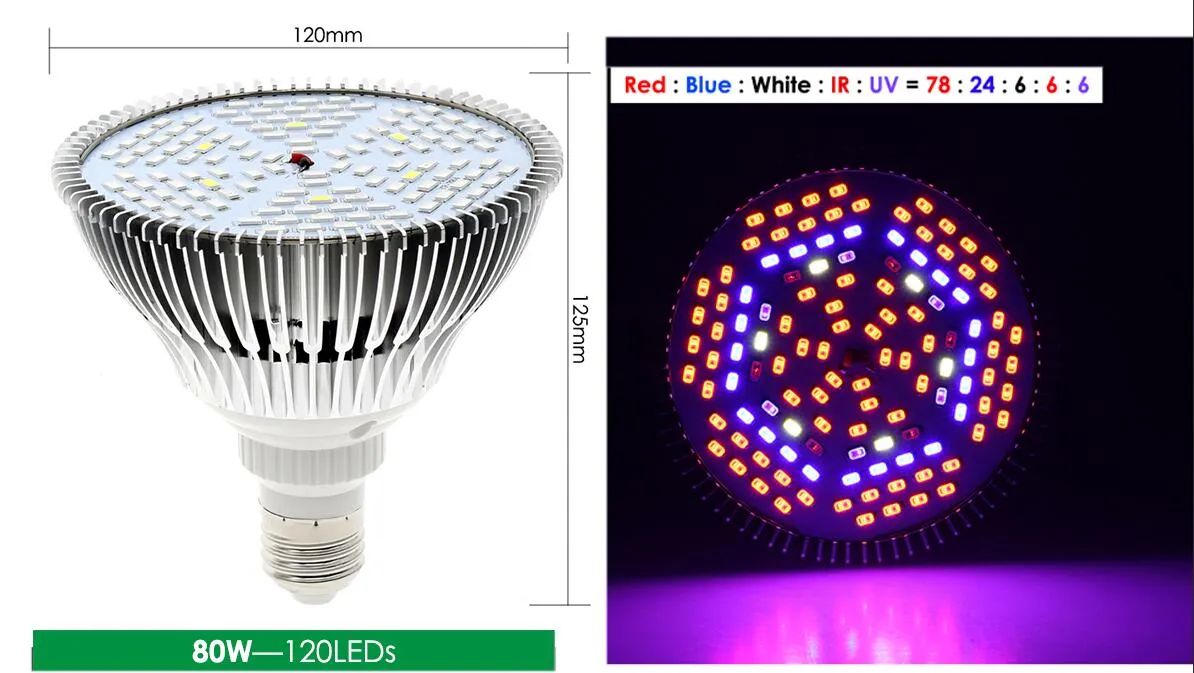 80W 120LEDs