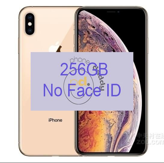 Guld xs max 256 GB inget ansikte