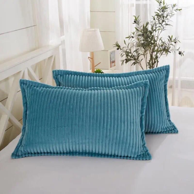 2pcs pillowcase