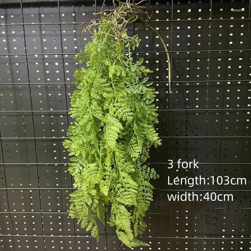 Fern hanging