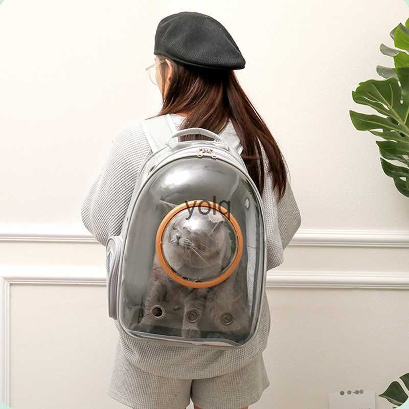 Módulo de Espaço Cinzento Mochila Atualizada VE