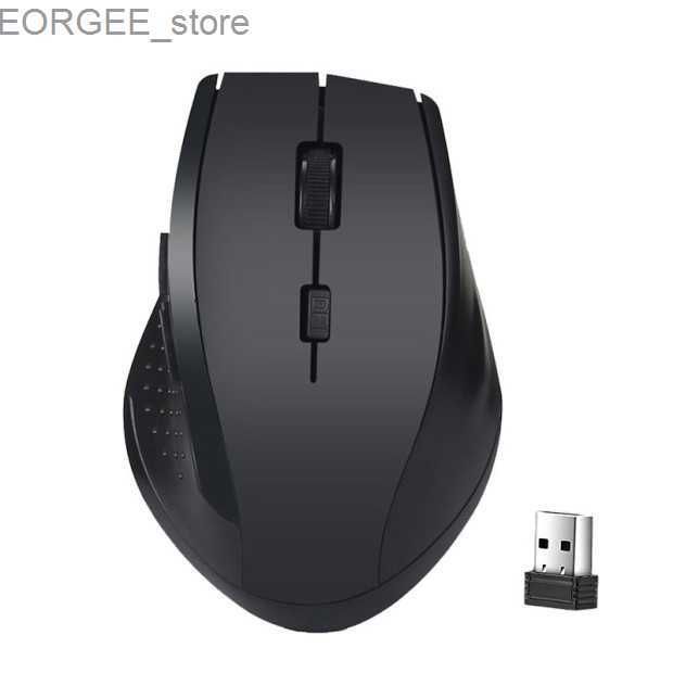 Souris noire