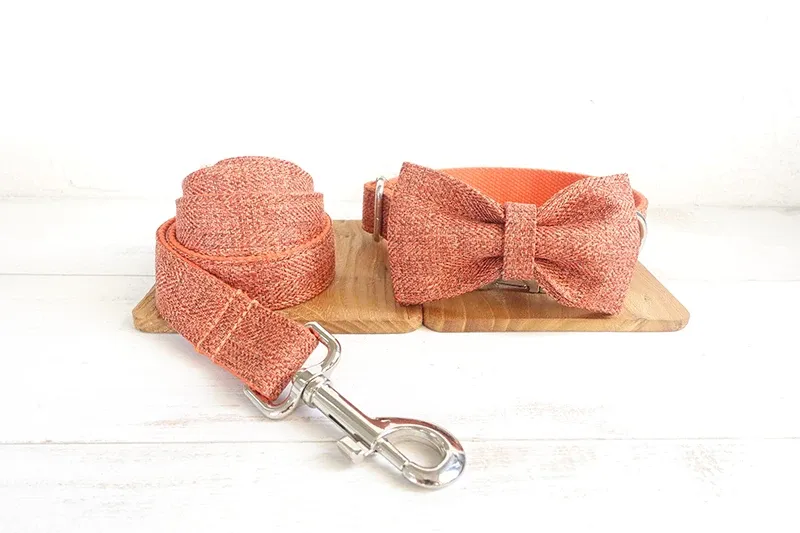 China Collar Leash Bow Tie