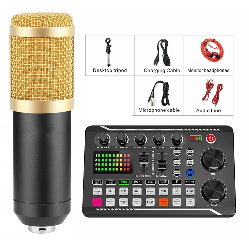 Colore: scheda audio e microfono