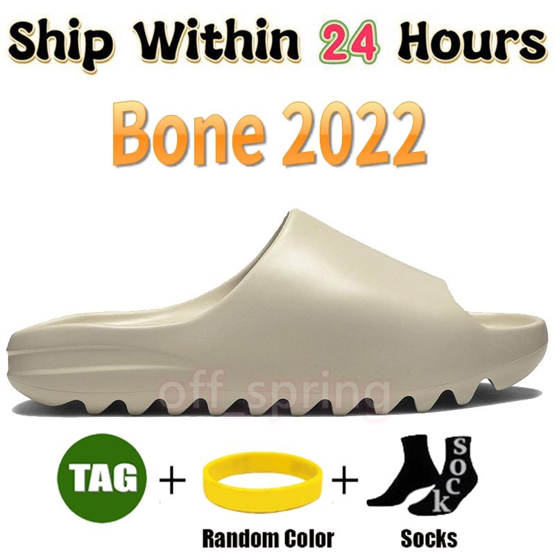 04 Bone 2022