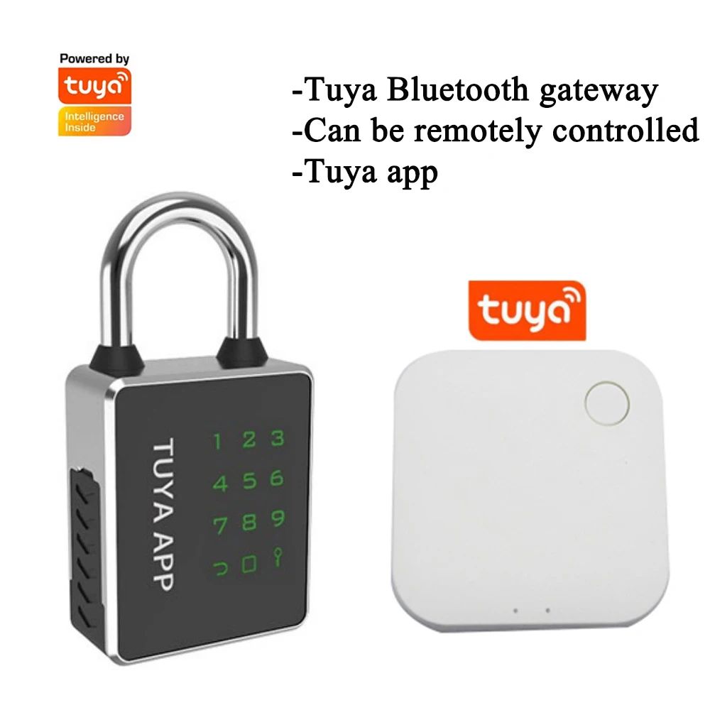 Couleur: Tuya-Gateway-Ble