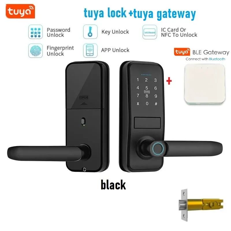 Color:tuya lock-H