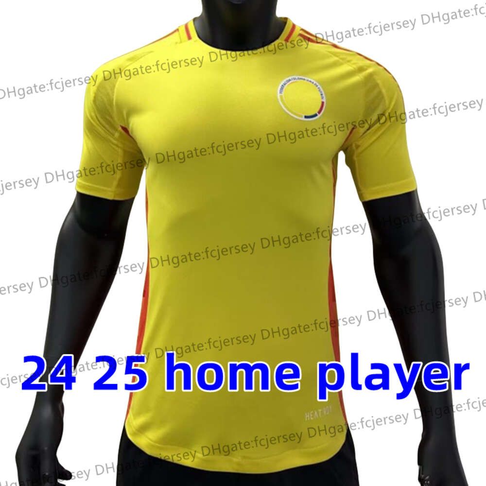 24 25 home player
