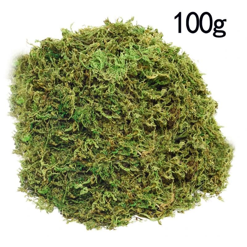 100g MOSS A