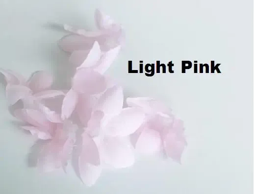 Light Pink