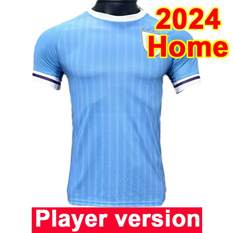 QY20934 2024 Home No Patch