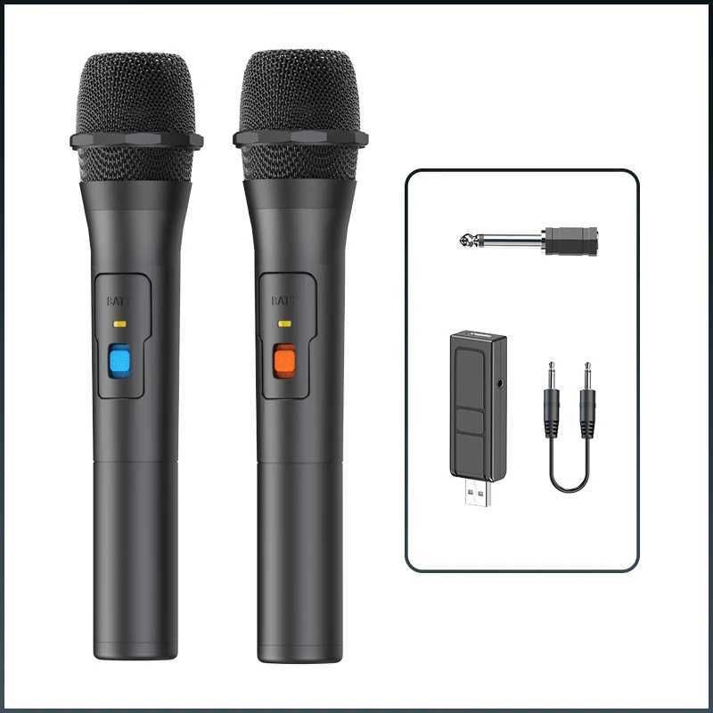 2PCS MIC