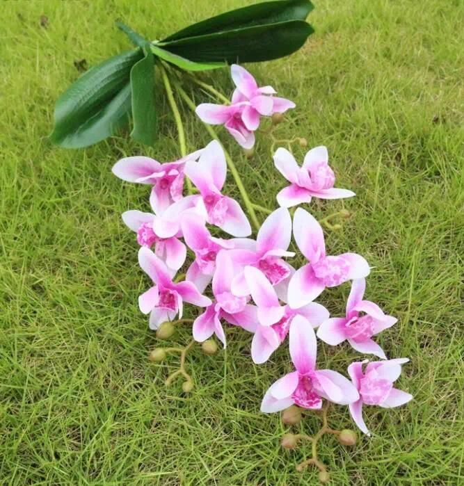 White purple orchids