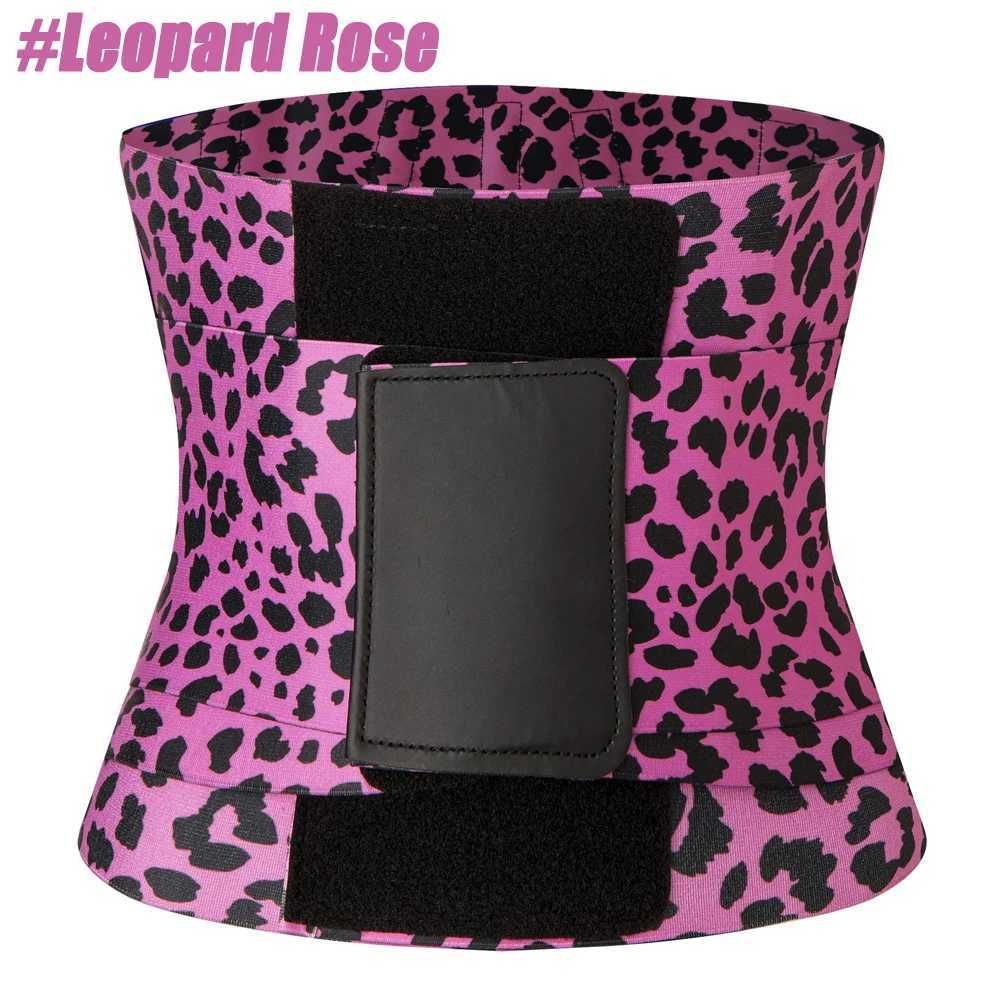Leopard Rose-S taille 70-80 cm