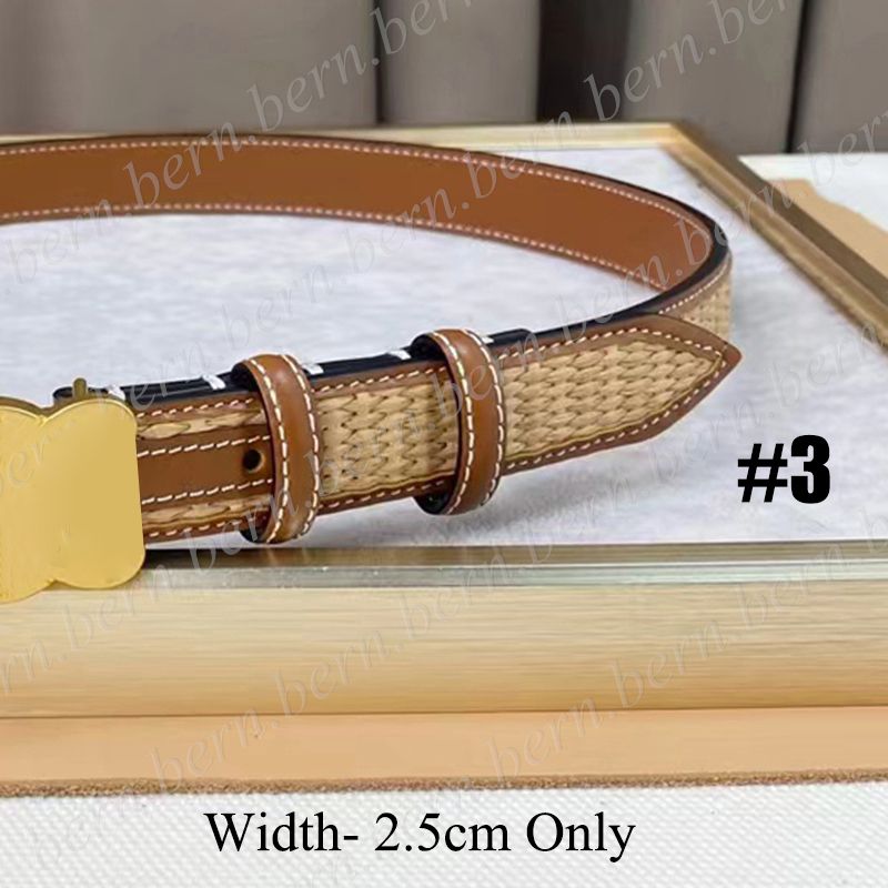 #3 With Gold Solid Buckle