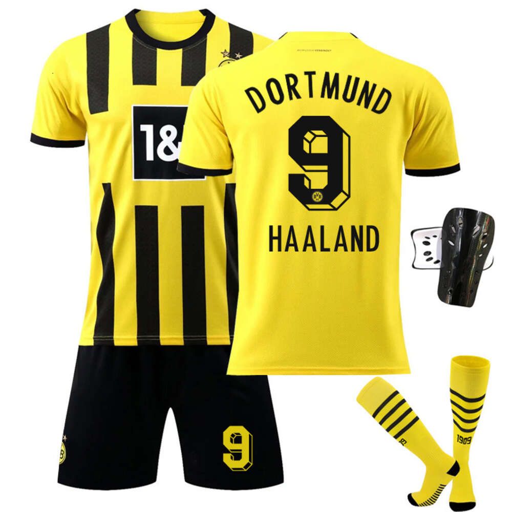 Dortmund Master  9 Harland Sock Guard