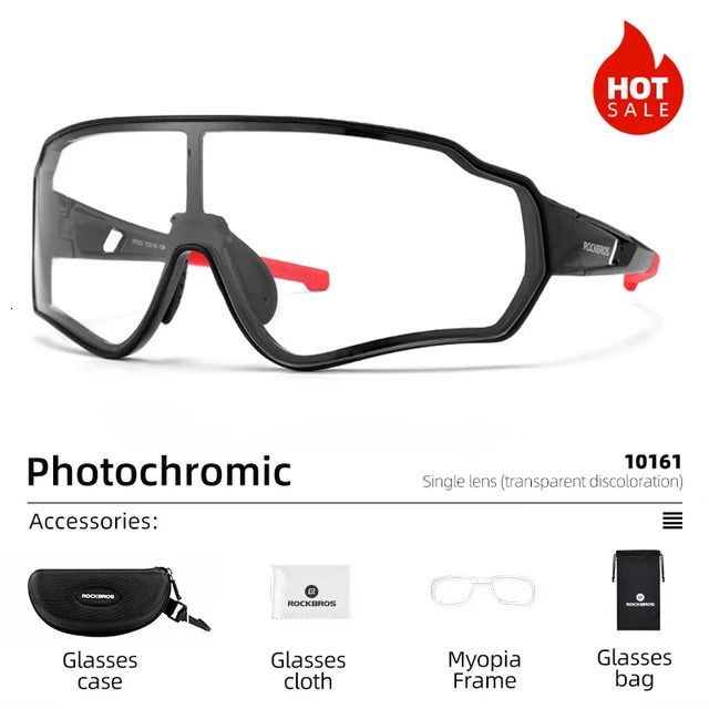 10161-Photochromic