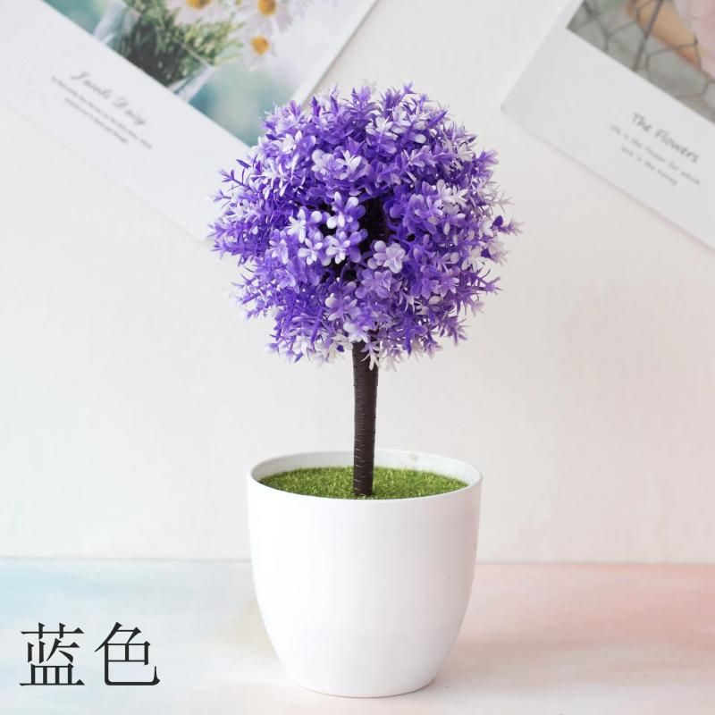 Sijiaocao violet