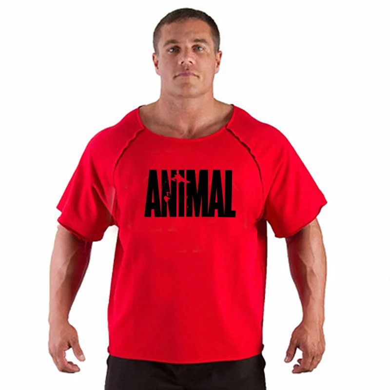 Animal Red Black