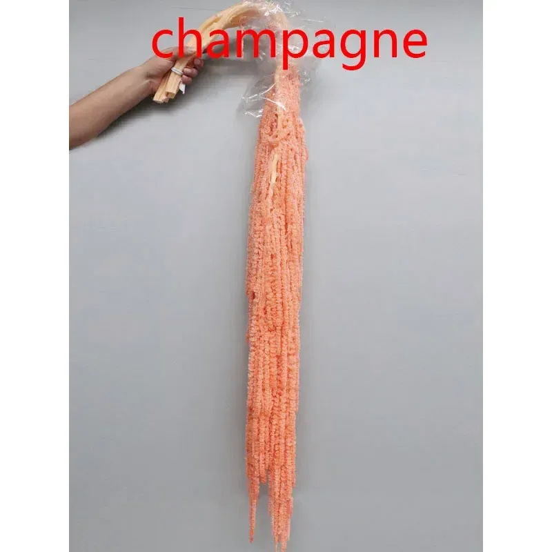 Champagne