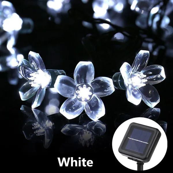 Blanc-12m 100LED