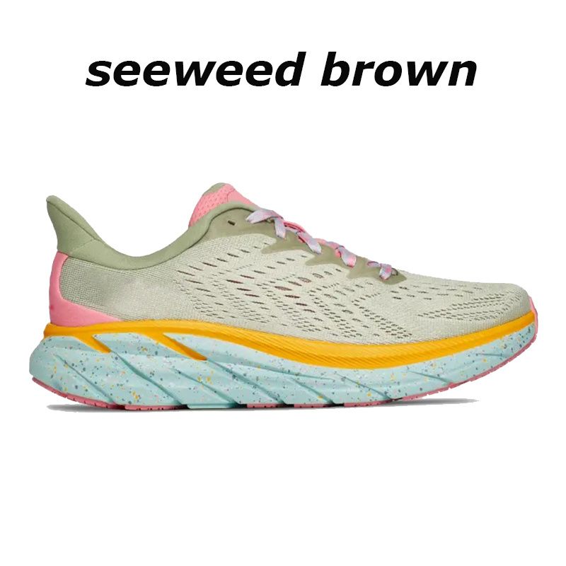 18 seeweed brown