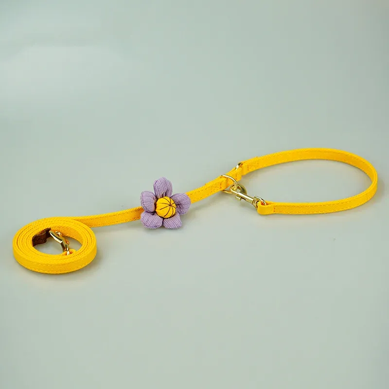 Dog Leash 002