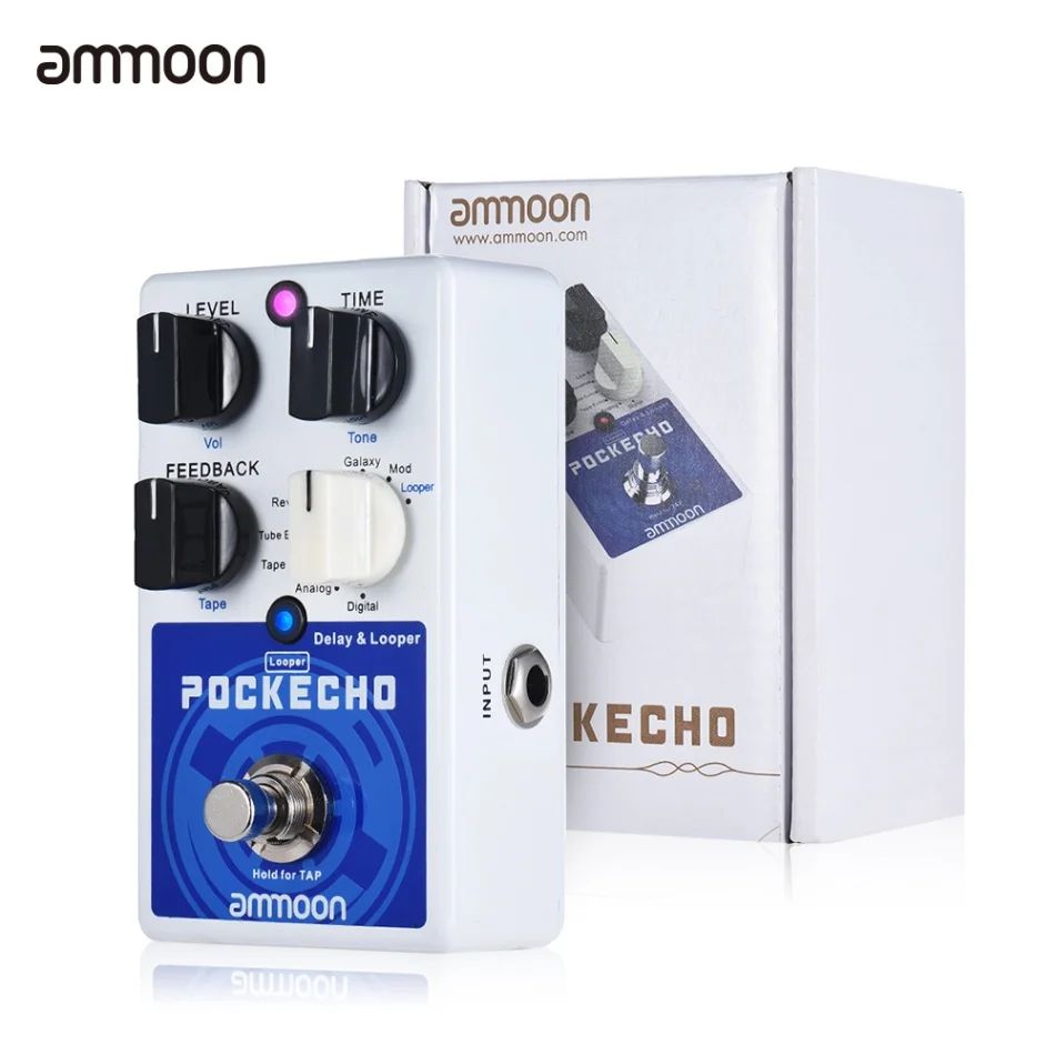 Ammoon Pockecho