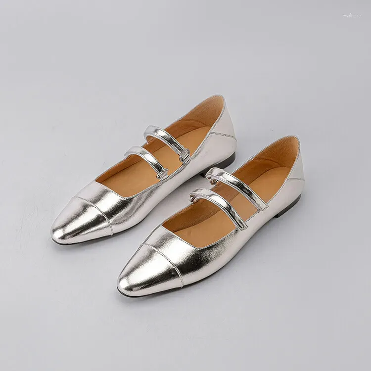 Silver Flats Shoes